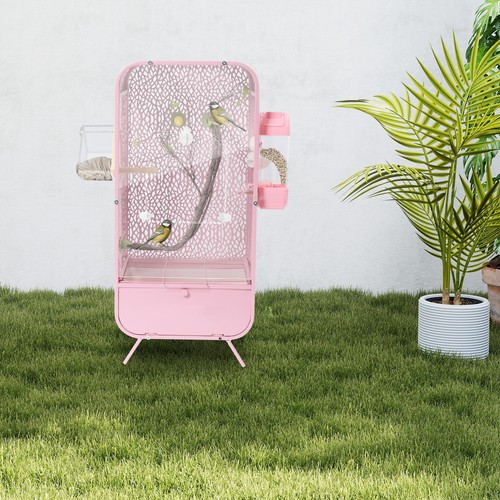 Wrought iron bird cage indoor - bird,